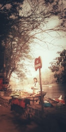A vendor stands next to a makeshift stall filled with various vegetables and fruits under a canopy of trees by a riverside. The scene includes a prominently placed 'No Parking' sign and a serene river in the background with boats visible in the distance.