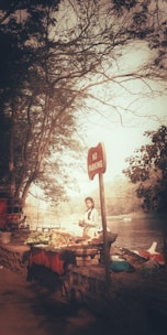 A vendor stands next to a makeshift stall filled with various vegetables and fruits under a canopy of trees by a riverside. The scene includes a prominently placed 'No Parking' sign and a serene river in the background with boats visible in the distance.