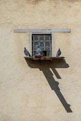 A balcony fitted with a neat, high-quality pigeon net gently blocking birds from entering, with sunlight casting soft shadows.