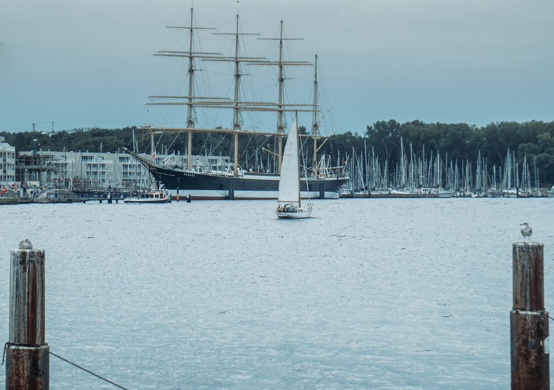 sail boat on water near trees