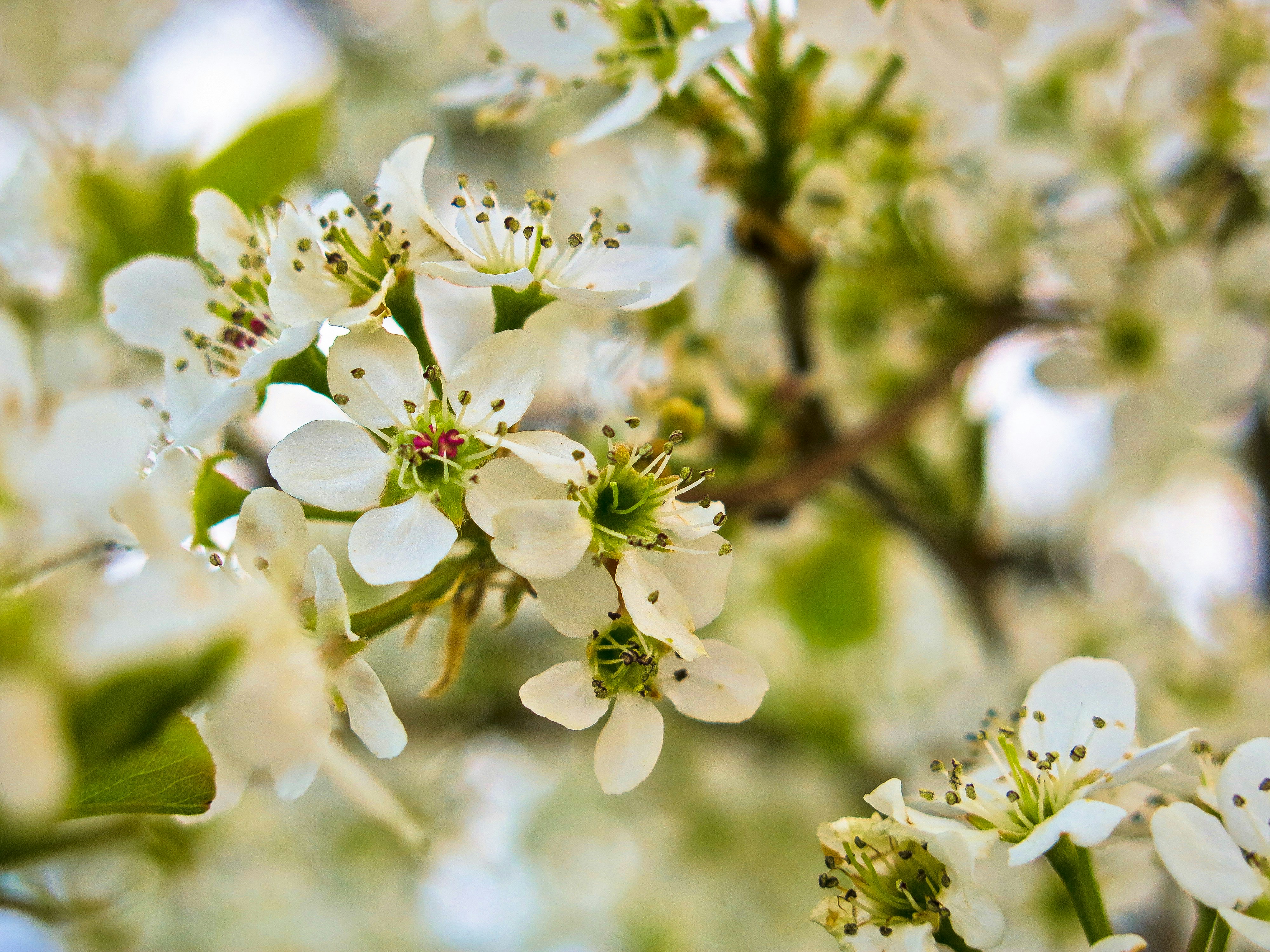 Photo by elizabeth_kay