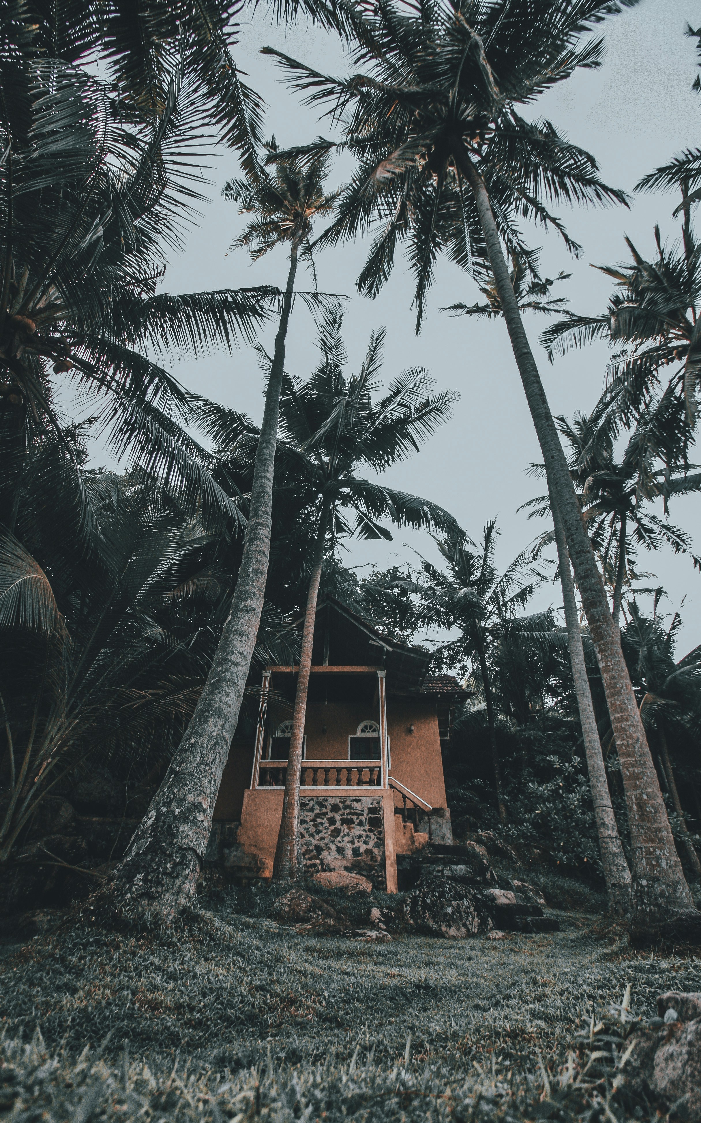 Photo by thestreetsmoment