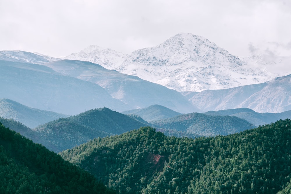 aerial photography of mountain and tree