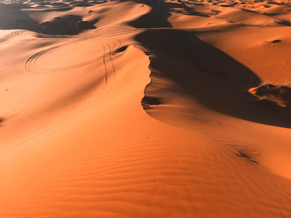 brown desert