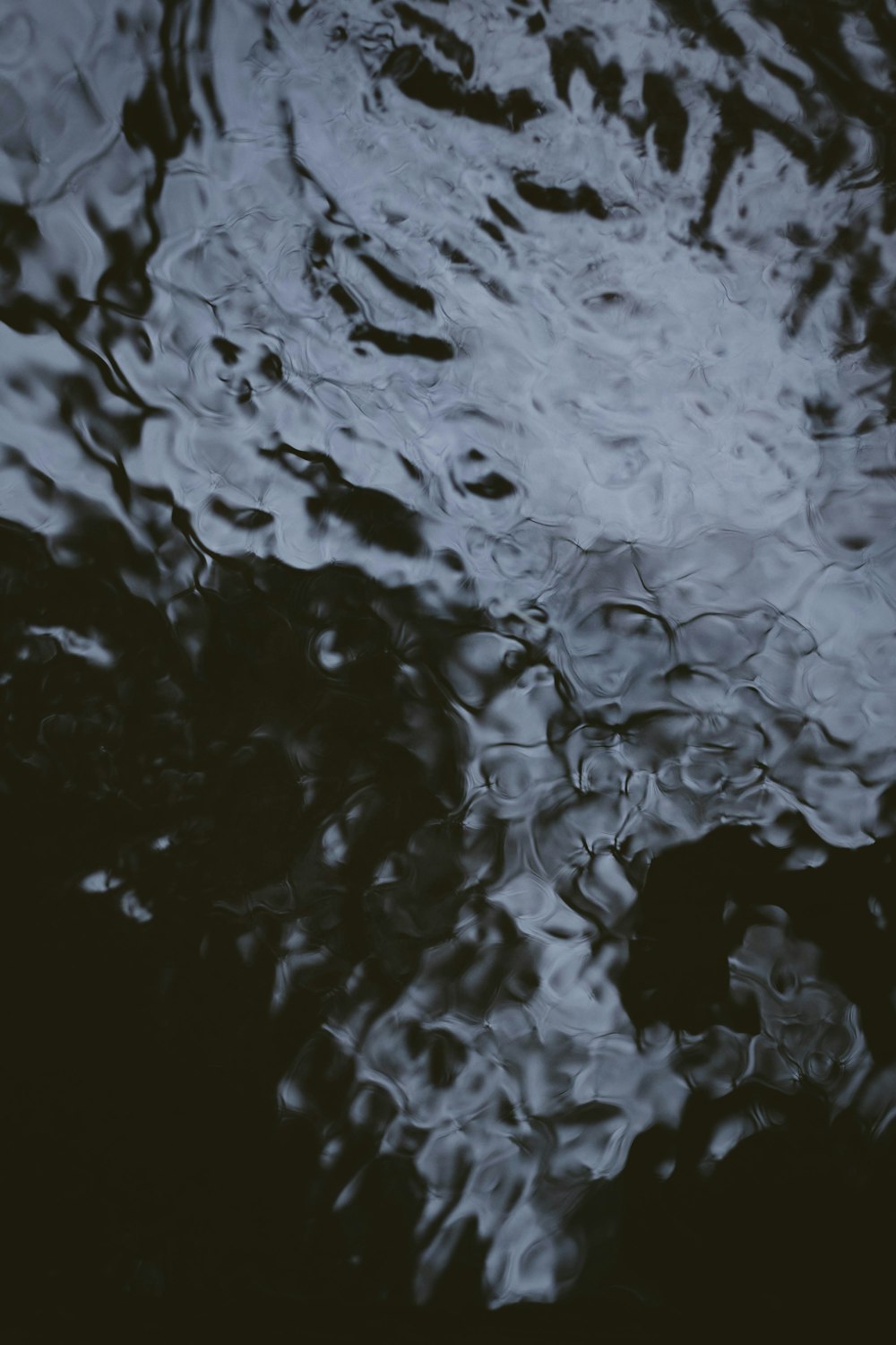 close-up fotografia corpo d'água