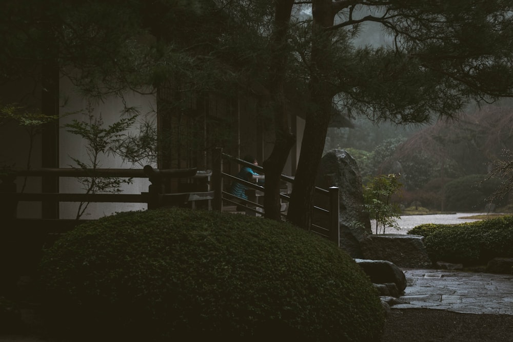 brown and green trees beside body of water