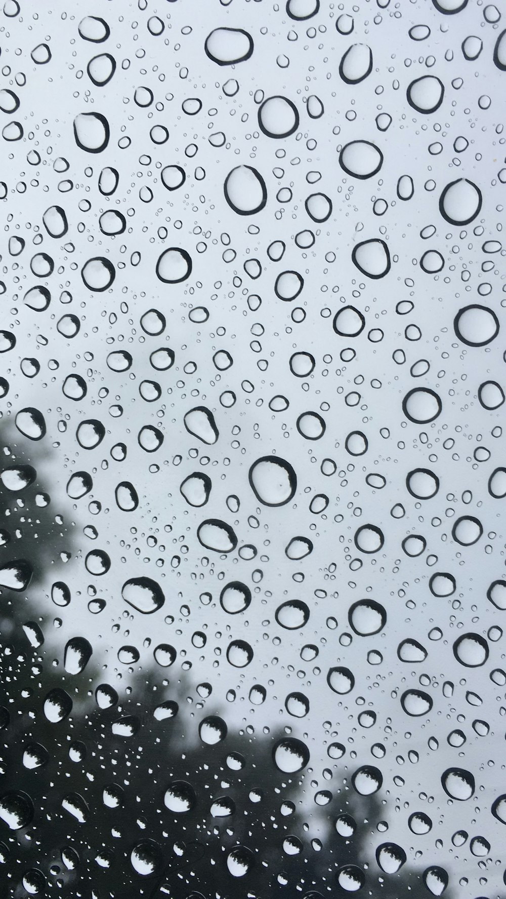 rain drops on a window with trees in the background