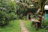 Pathway leading through the tropical garden to the beach near the bungalows.
