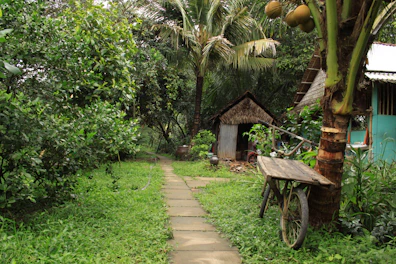 Pathway leading through the tropical garden to the beach near the bungalows.