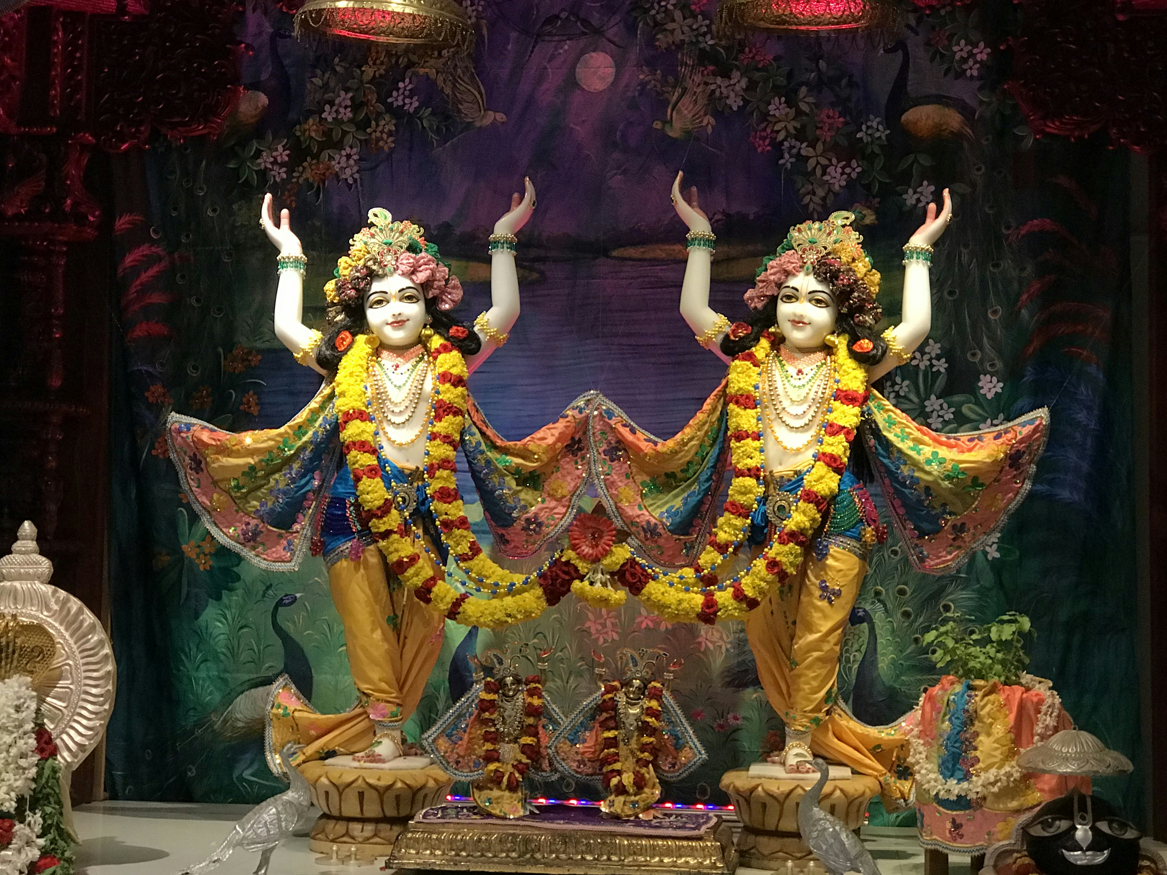 Photo by manojnani786