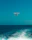 Aerial shot of a drone flying over a clear freshwater river with visible fish below.
