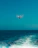 Aerial shot of a drone flying over a clear freshwater river with visible fish below.