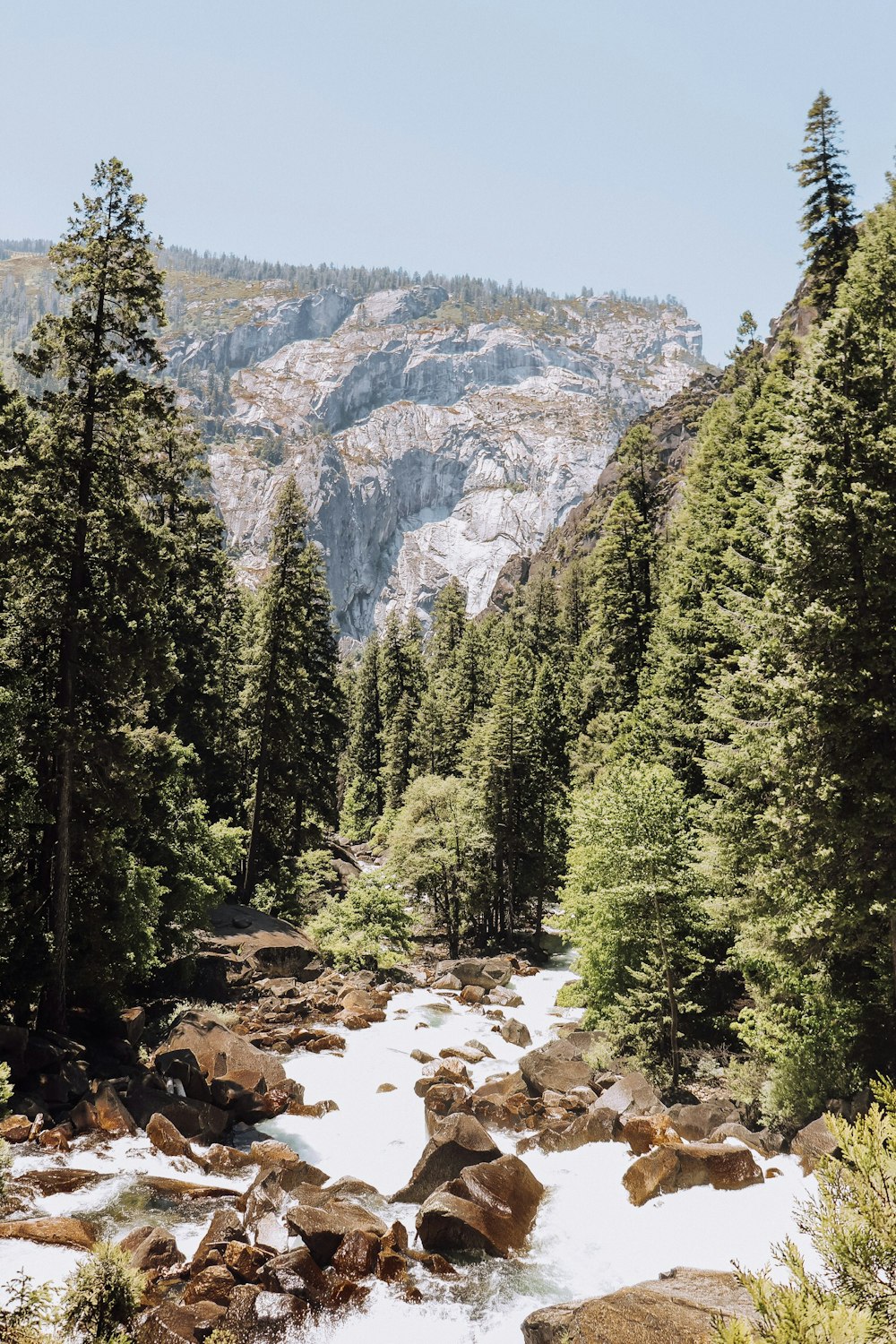 time-lapse photography of waterfall in between tree