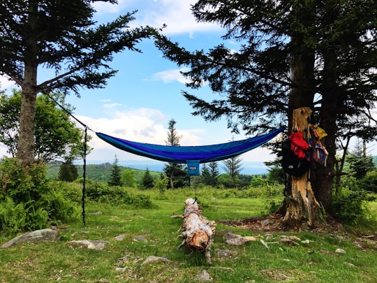blue hammock at middle of forest in Appalachian Trail United States