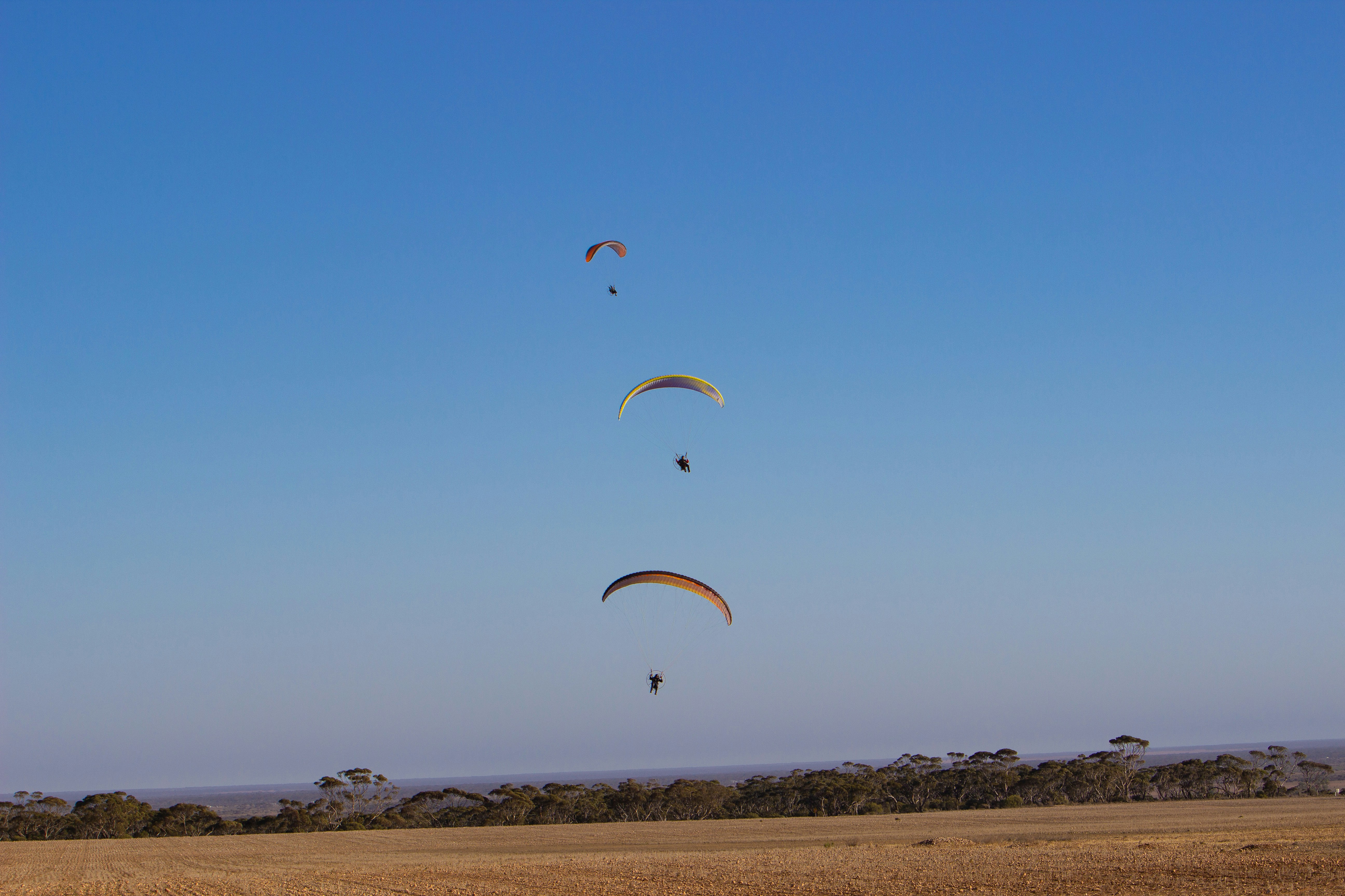three person using parachutes under clear blue sky