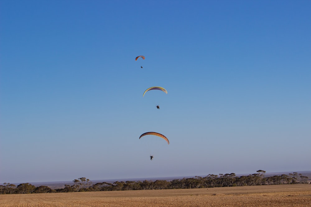three person using parachutes under clear blue sky