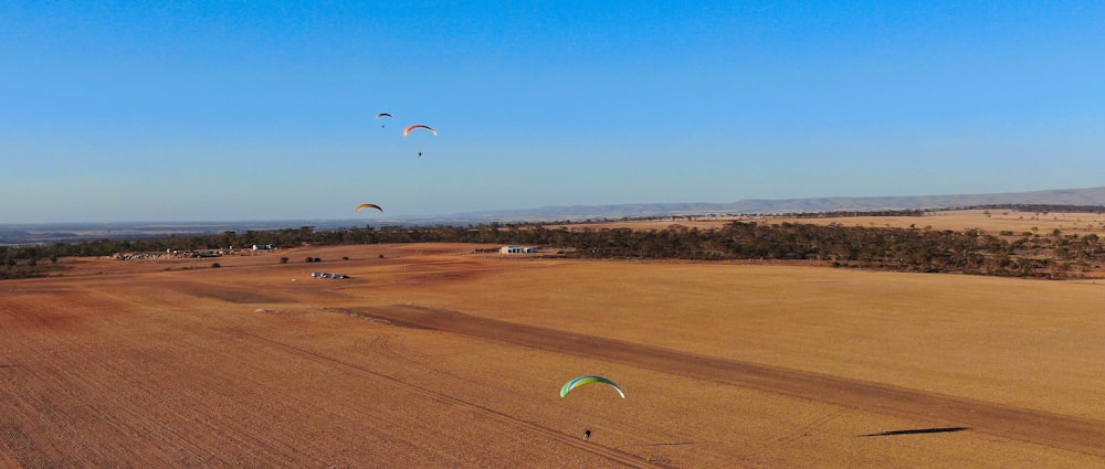 people parasailing during adytime