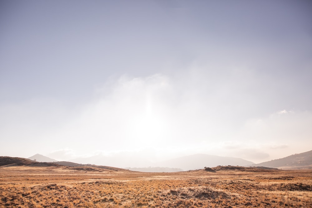 desert under cloudy sky