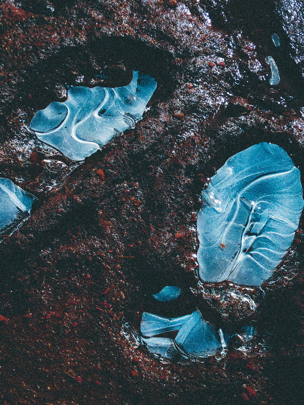 blue and brown shoe print on brown sand