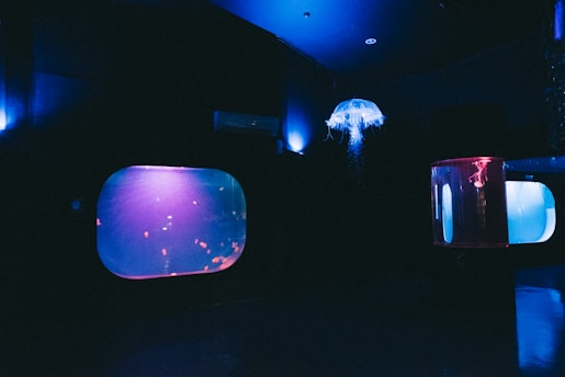 A serene waiting room with a sleek, modern aquarium softly glowing in calming blue tones.