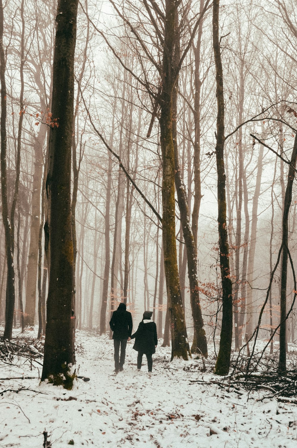 couple walking at the forest during winter