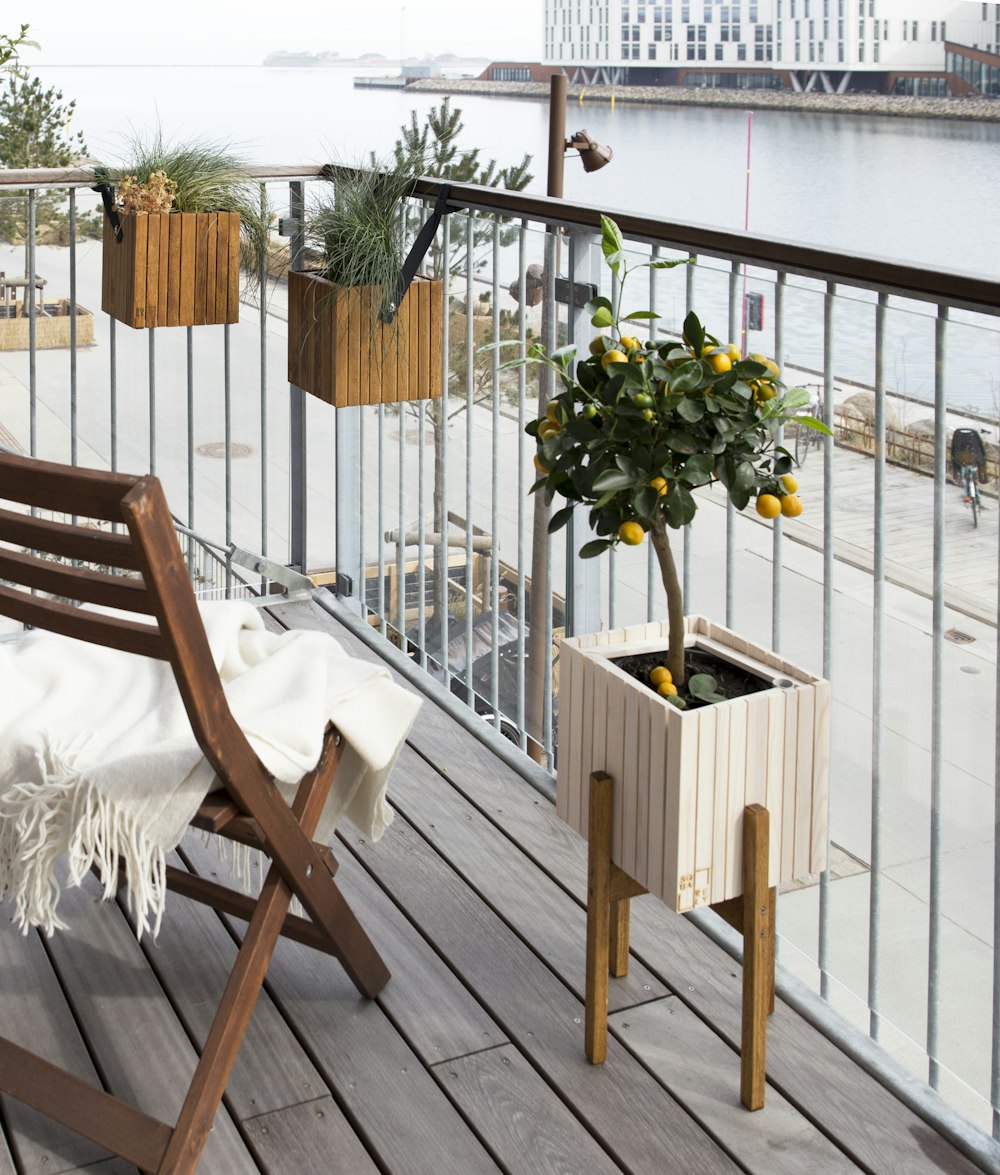 kumquat plant on white wooden pot near body of water