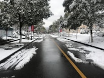 A snow-covered road lined with trees is visible, with patches of snow on the ground and slush on the asphalt. The trees are dusted with snow, and it appears to be a quiet, serene winter scene. There are informational signboards along the road.
