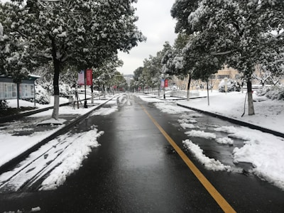 A snow-covered road lined with trees is visible, with patches of snow on the ground and slush on the asphalt. The trees are dusted with snow, and it appears to be a quiet, serene winter scene. There are informational signboards along the road.