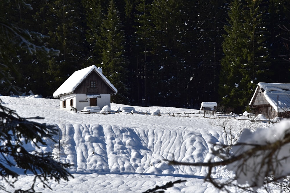 houses on snow covered ground near trees at daytime