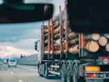 A logging truck loaded with large tree trunks travels on a highway. The truck is moving alongside other vehicles, including a white van in a separate lane. The backdrop features a scenic view of distant mountains under a cloudy sky.