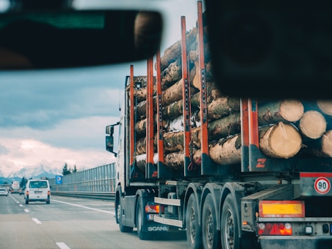 A logging truck loaded with large tree trunks travels on a highway. The truck is moving alongside other vehicles, including a white van in a separate lane. The backdrop features a scenic view of distant mountains under a cloudy sky.