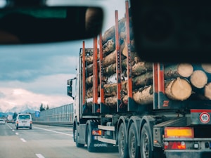 A logging truck loaded with large tree trunks travels on a highway. The truck is moving alongside other vehicles, including a white van in a separate lane. The backdrop features a scenic view of distant mountains under a cloudy sky.
