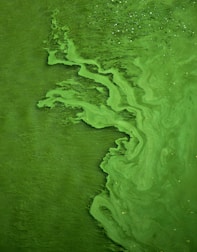 green color water