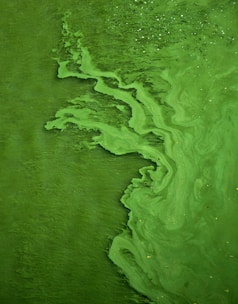 green color water