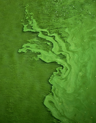 green color water