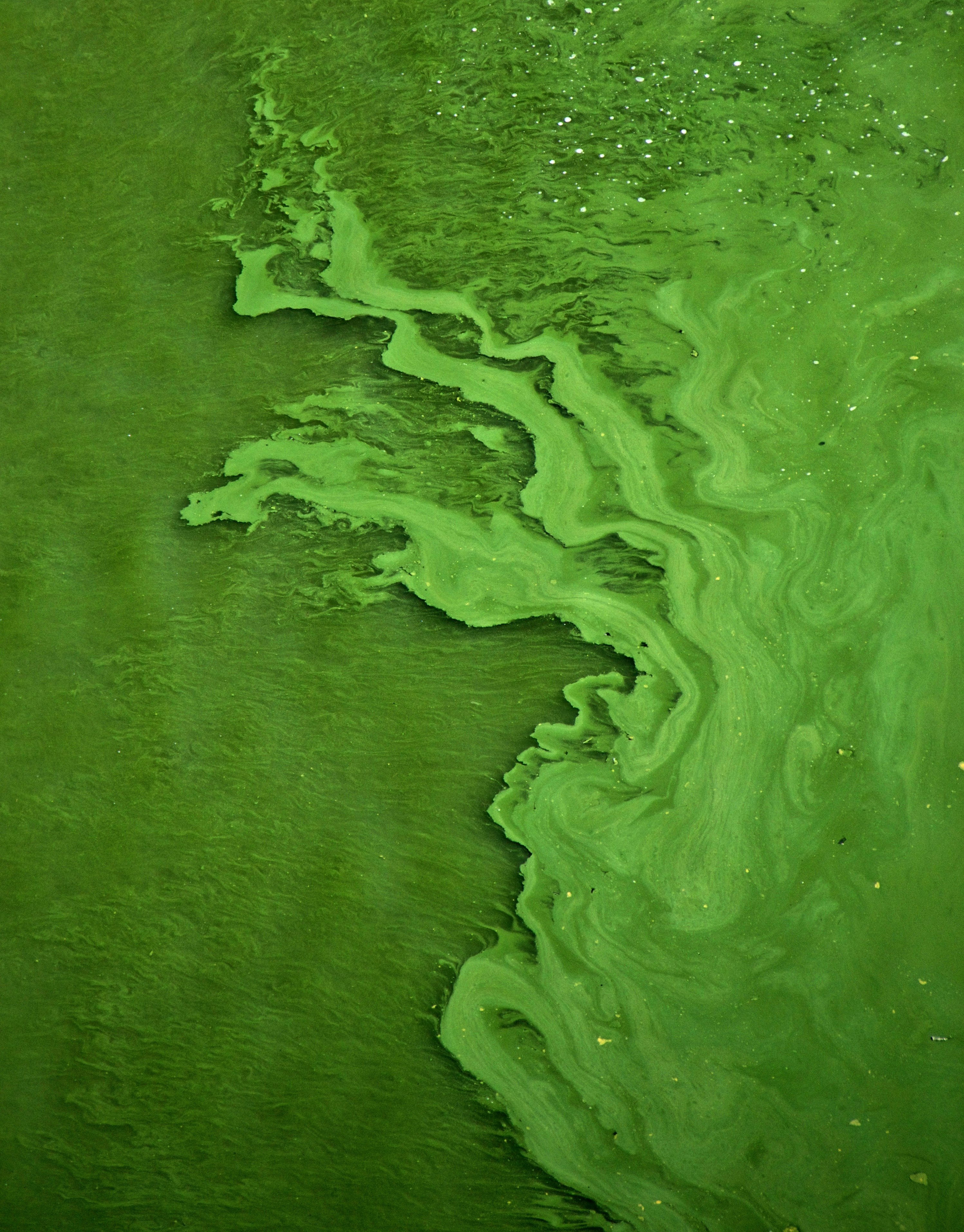 green color water