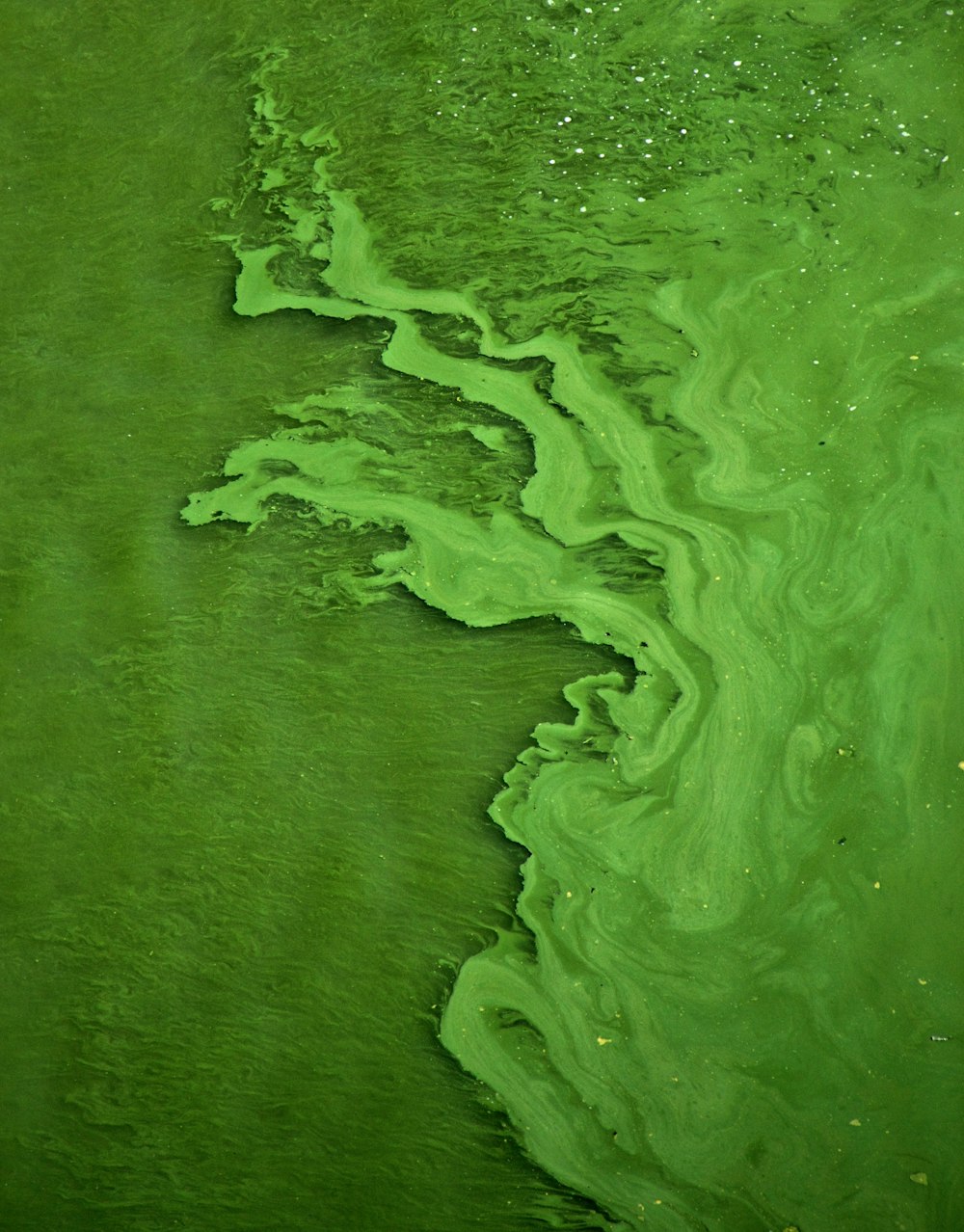 agua de color verde