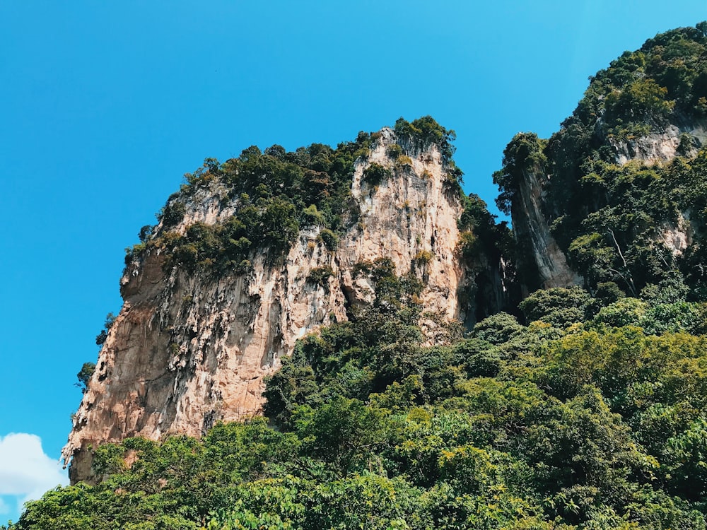 plants on rocky mountain under blue sky