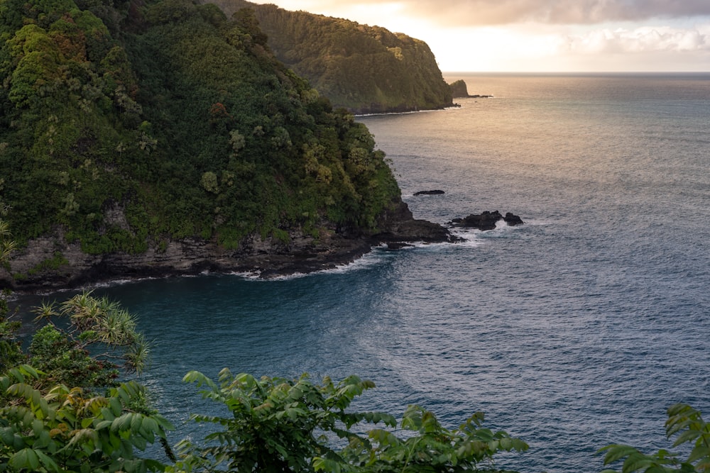 calm body of water near the rock formation with tree