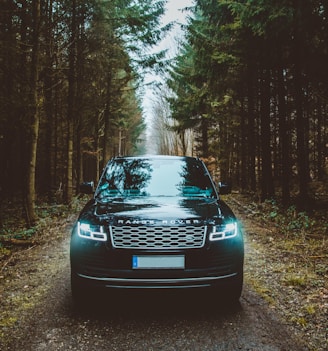 green Land Rover Range Rover SUV passing on dirt road between green trees