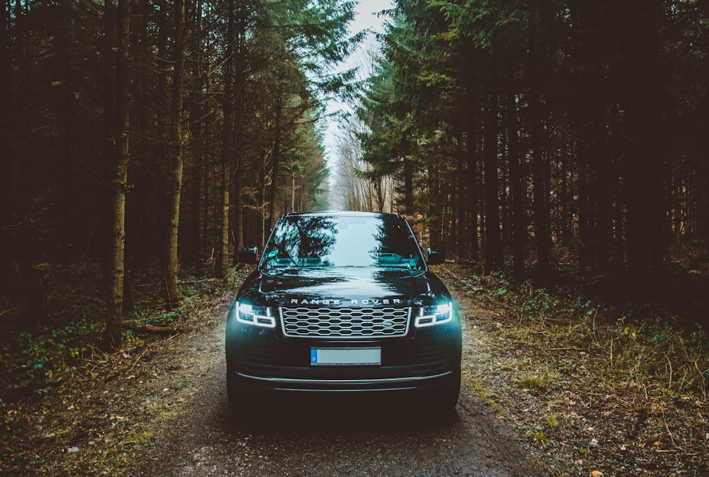 green Land Rover Range Rover SUV passing on dirt road between green trees