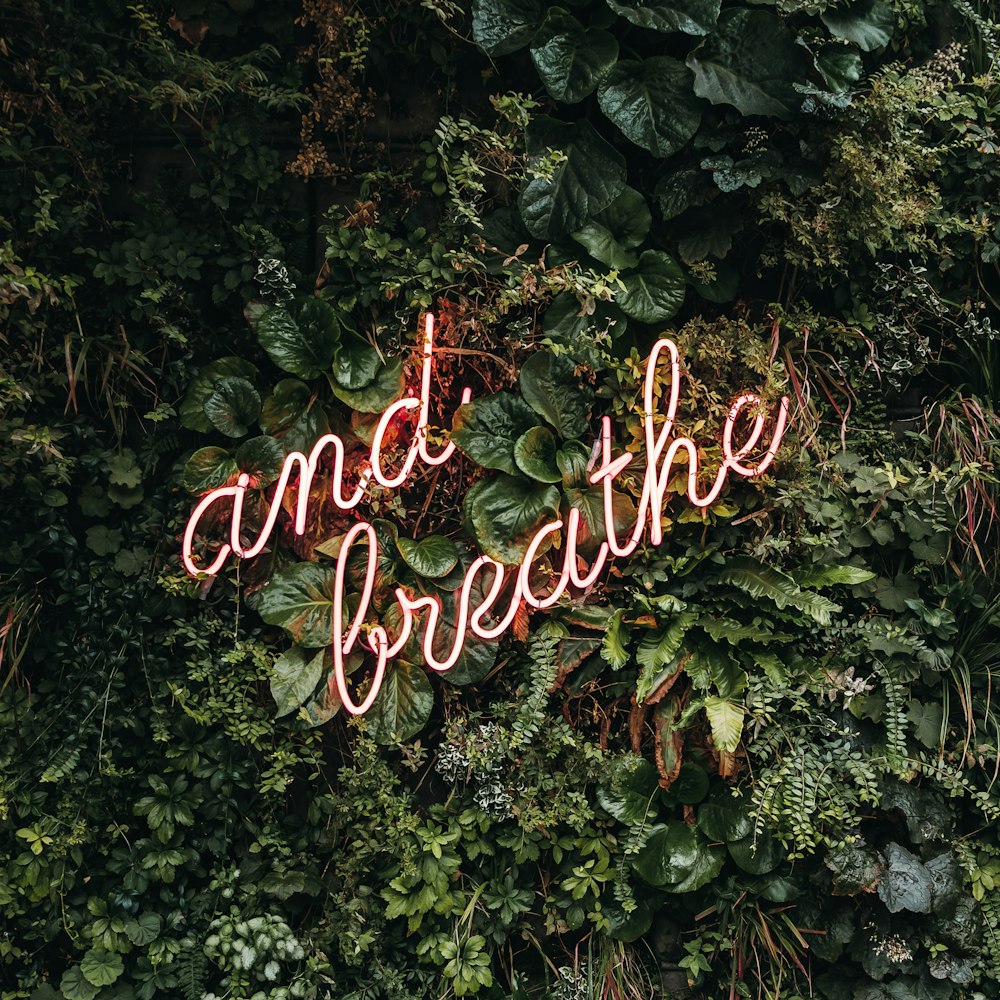 green plants with and breathe neon sign