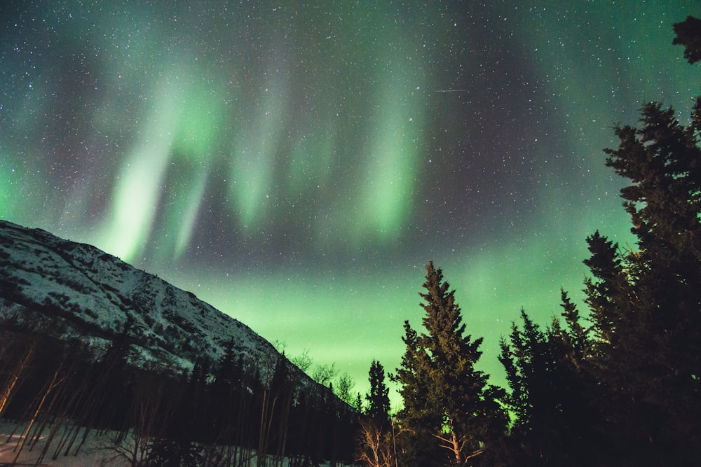 Fondo de pantalla de auroras boreales