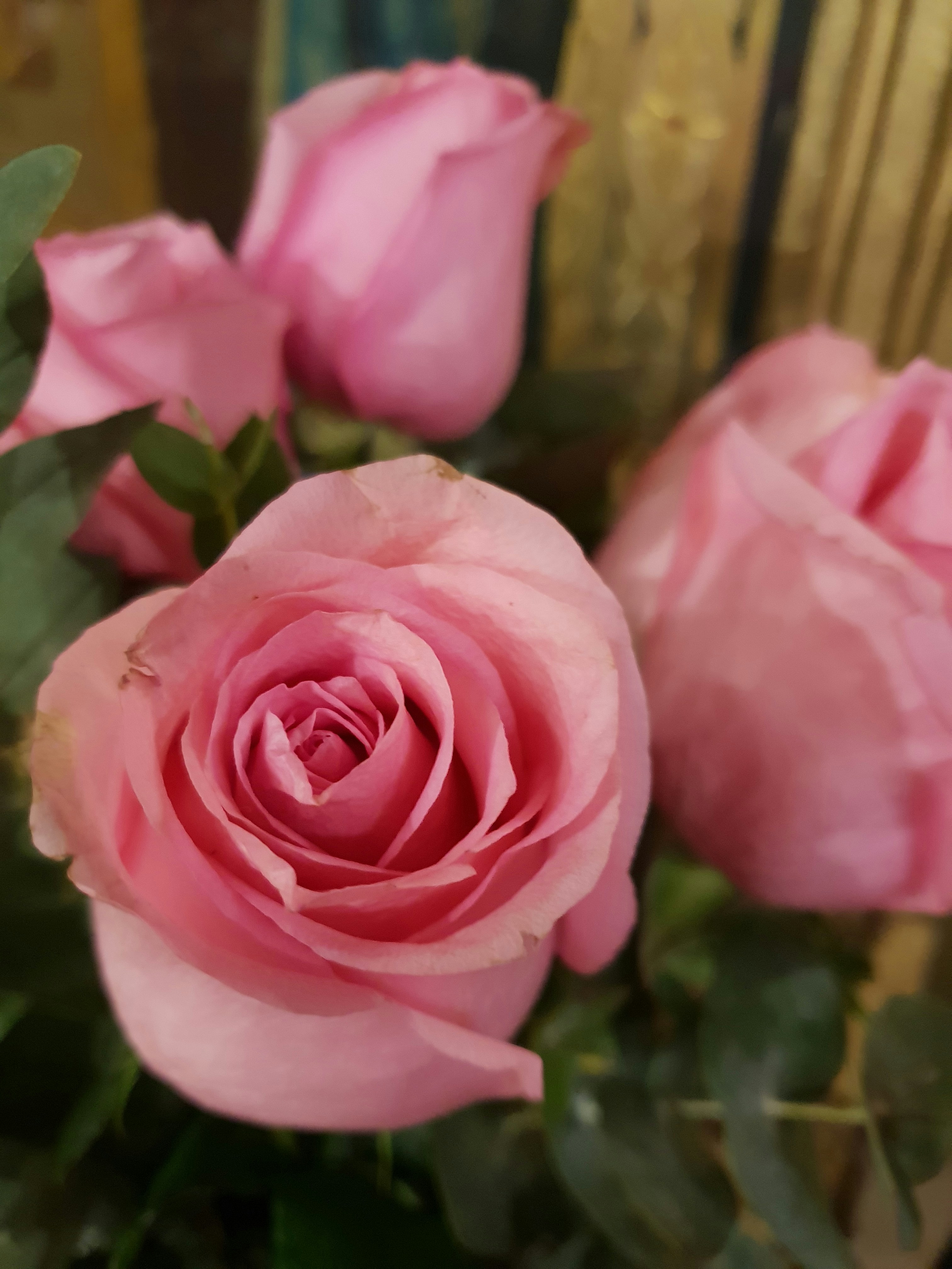 Photo by adrianasaraceanu