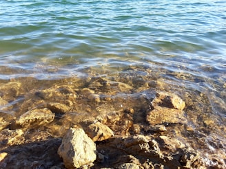 Clear water gently washes over a collection of stones and rocks, revealing their textures and colors beneath the surface. The sunlight creates a shimmering effect on the water, adding a sense of tranquility.