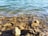 Clear water gently washes over a collection of stones and rocks, revealing their textures and colors beneath the surface. The sunlight creates a shimmering effect on the water, adding a sense of tranquility.