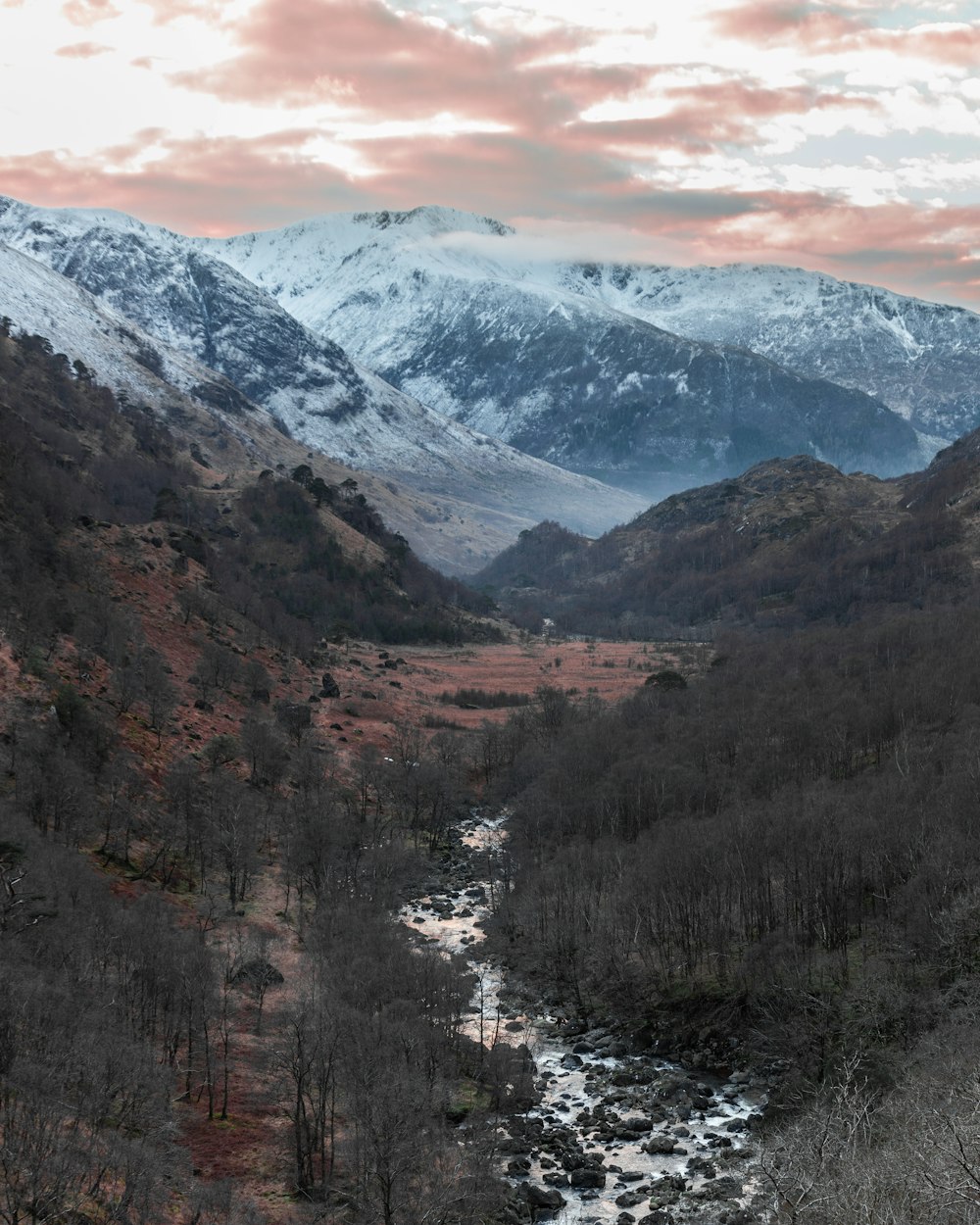 photography of river between trees near snow capped mountain during daytime