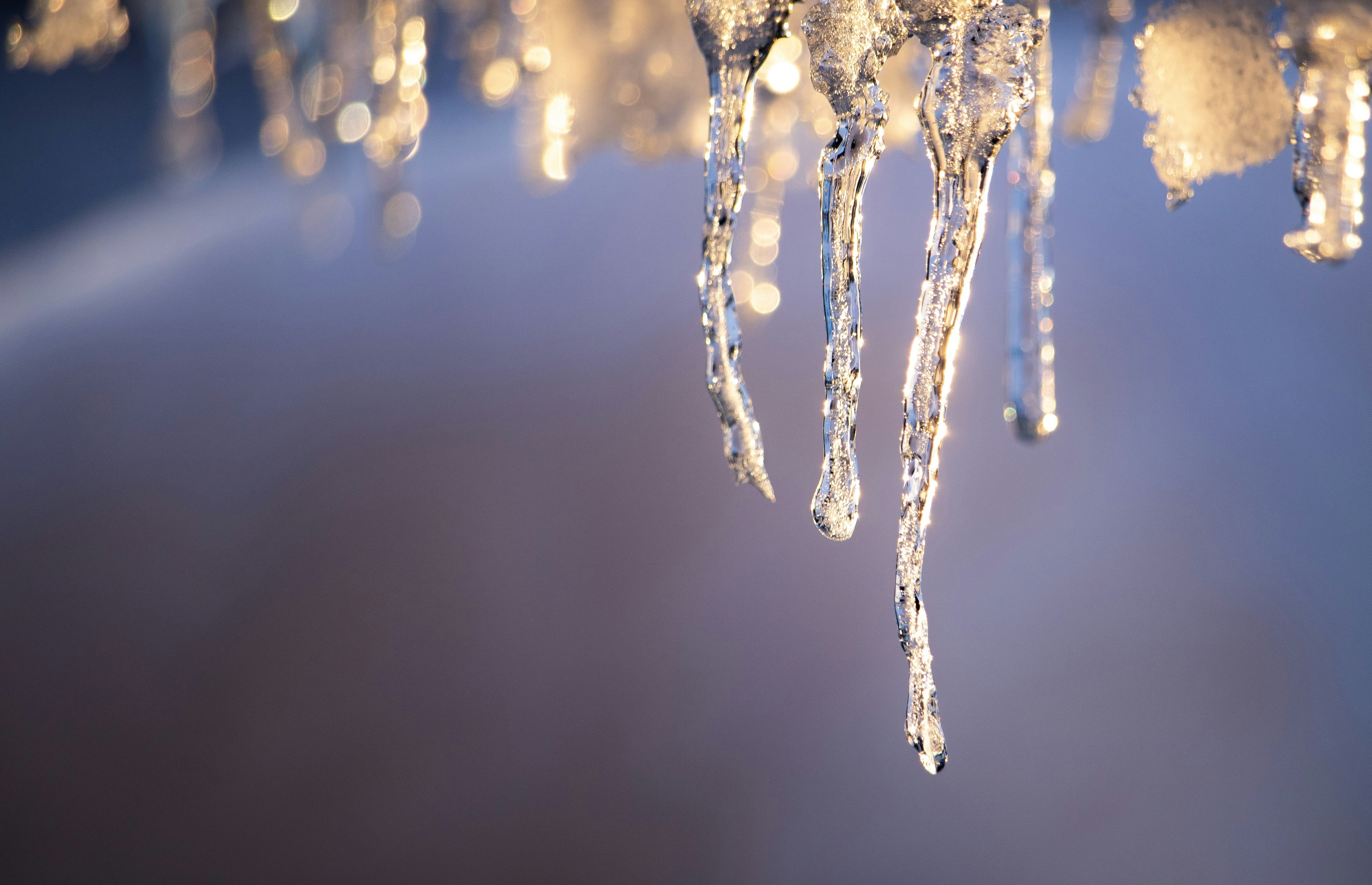 Photo by sarahreneewolfe