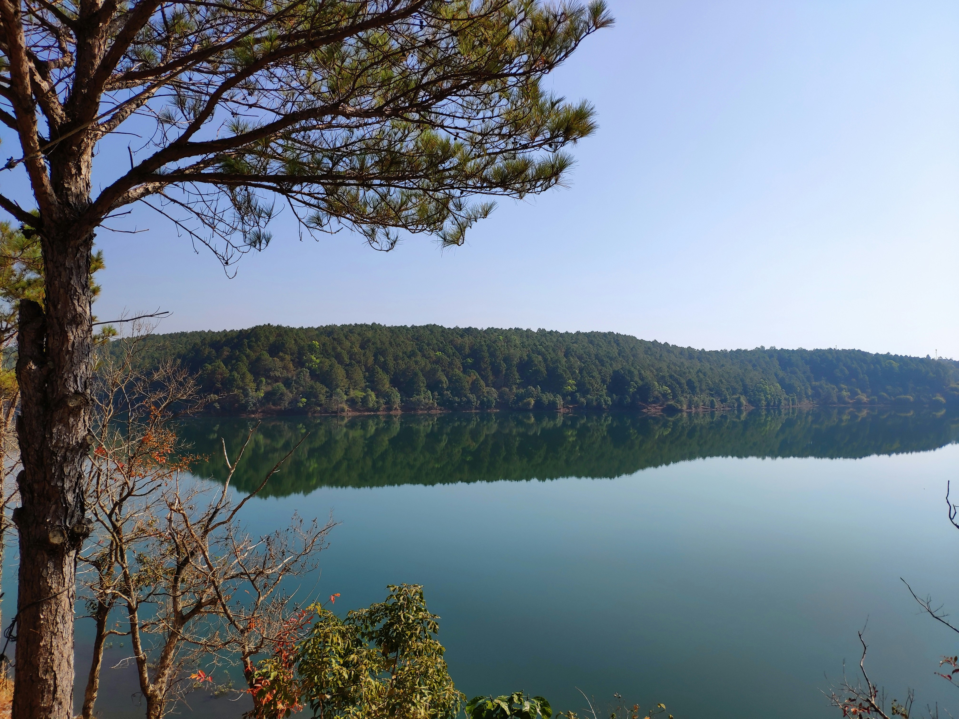 Photo by tuan195199099