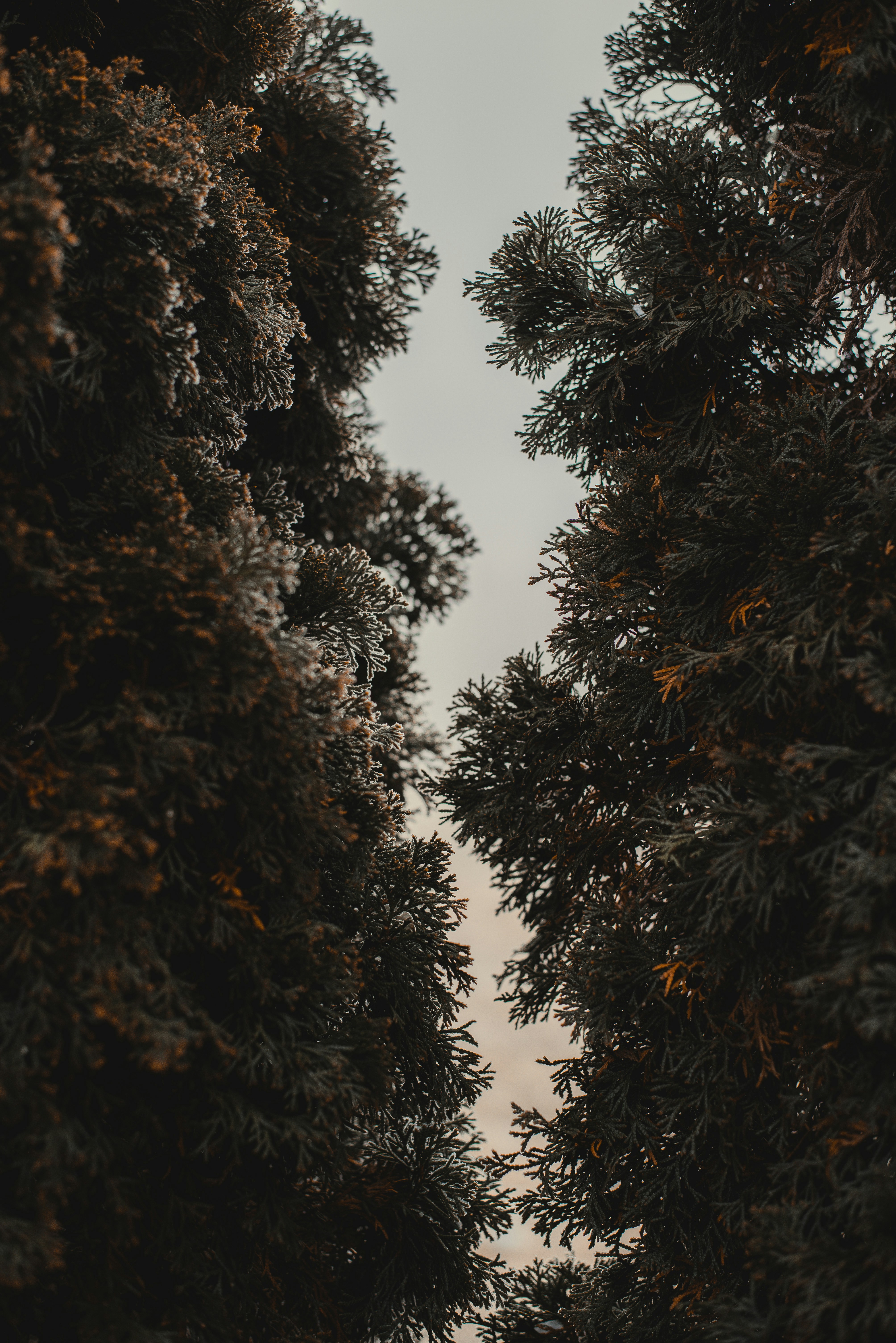 Photo by lightrisephoto